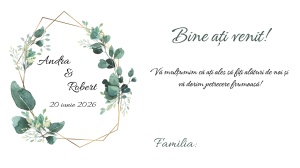 Plic pentru bani nuntă cu design verde eucalipt și accente moderne, ideal pentru un decor elegant și natural