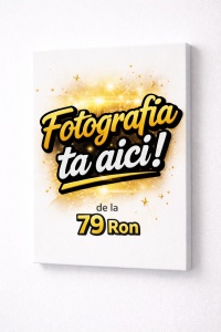 Tablou canvas personalizat cu fotografia ta – caricatură la alegere