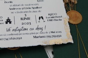 Invitație nuntă rustică cu plic verde pădure, flori uscate și sigiliu auriu