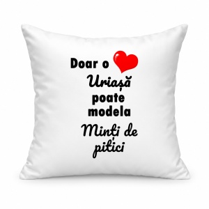 Pernă personalizată Doar o inima uriasa poate modela minti de pitici