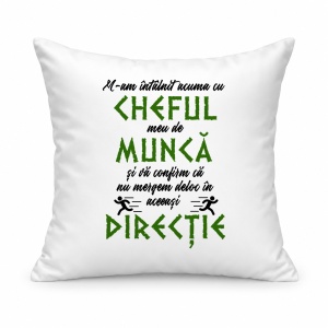 Pernă personalizată M am intalnit acuma cu cheful meu de munca si va confirm ca nu mergem deloc in aceeasi directie
