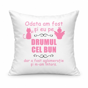 Pernă personalizată Odata am fost si eu pe drumul cel bun dar a fost aglomeratie si m am intors