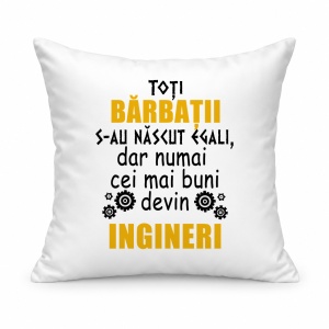 Pernă personalizată Toti barbatii s au nascut egali, dar numai cei mai buni devin ingineri