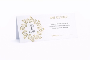 Plic pentru bani nuntă verde minimalist cu inițiale – plic de bani/dar elegant natural