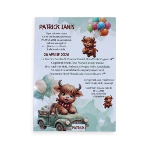 Invitație de botez personalizată pentru băieți, cu ursuleț simpatic, baloane colorate și plic verde accesorizat cu sigiliu de ceară. Un design jucăuș și elegant, realizat manual, perfect pentru un botez plin de emoție și bucurie