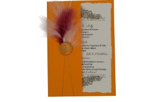 Plic pentru invitație de nuntă portocaliu, cu sigiliu de ceară personalizat și pene decorative, potrivit pentru invitații de nuntă elegante și premium.