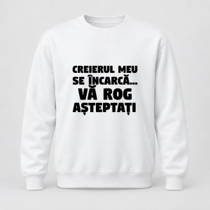 Pulover personalizat Creierul meu se incarca, va rog asteptati ,, negru