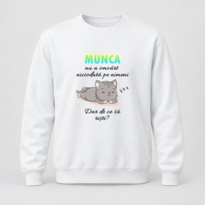 Pulover personalizat Munca nu a omorat niciodata pe nimeni dar de ce sa risti