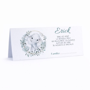 Plic pentru bani botez băiețel elefant personalizat | Plic pentru dar elegant verde eucalyptus