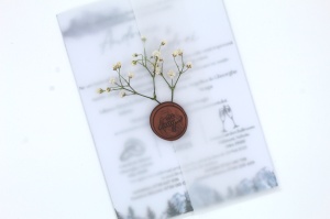 invitatie-nunta-cu-hartie-de-calc-si-peisaj-de-munte