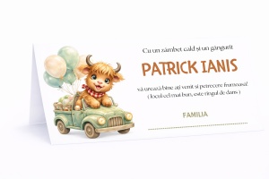 Plic pentru bani botez băiat | Plic de bani personalizat copii