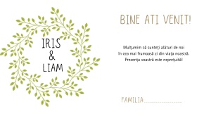Plic de bani/dar pentru nunta cu design verde minimalist si initiale elegante