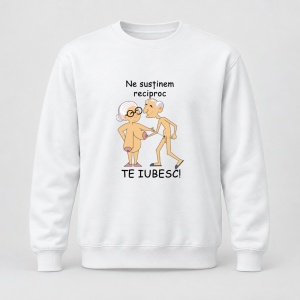 Pulover personalizat Amuzanta pentru pensionari, ne sustinem reciproc, te iubesc
