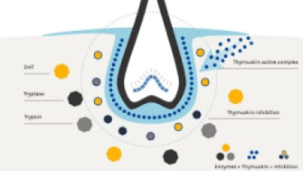 Actiunea Thymuskin