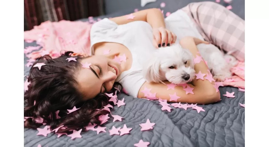 Este bine să dormi cu animalul de companie în pat? Avantaje și reguli de igienă