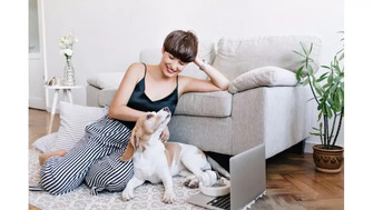 Canapea și animale de companie: materiale, huse și întreținere practică