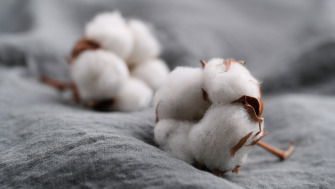 Bumbac: un material comod si calitativ pe care te poti baza in orice situatie