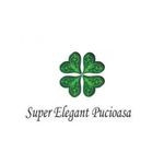 Super Elegant Pucioasa