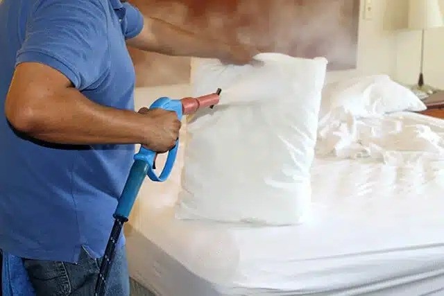 folosirea aburului la eradicarea plosnitelor