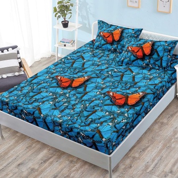 Set cearceaf cu elastic + 2 fețe de pernă, 3 piese, policoton, G-264