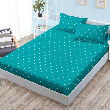 Set cearceaf cu elastic + 2 fețe de pernă, 3 piese, policoton, G-113