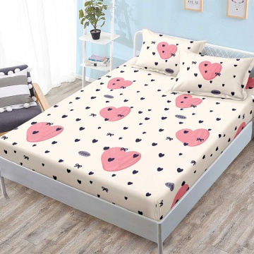 Set cearceaf cu elastic + 2 fețe de pernă, 3 piese, policoton, G-254