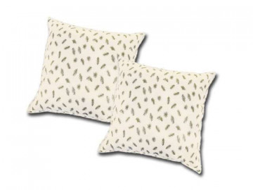 Set 2 perne cu puf de gâscă, 70x70 cm, crem, PG-002