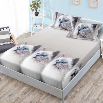 Set cearceaf cu elastic + 2 fețe de pernă, 3 piese, policoton, G-99