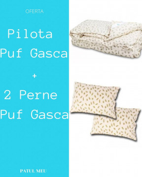 Set pilotă cu puf și pană de gâscă 200x220 cm + 2 perne 50x70 cm, PRO-001