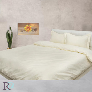Lenjerie de pat uni, 100% bumbac satin, crem, Roxyma Dream – imagine de catalog a produsului
