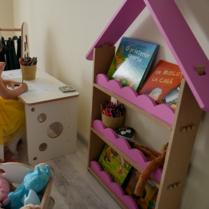 Minibiblioteca jucarii