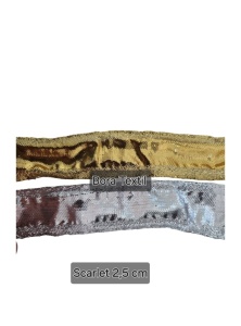Panglica Scarlet