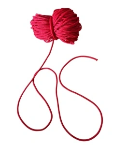 Snur-Iustin-Rosu