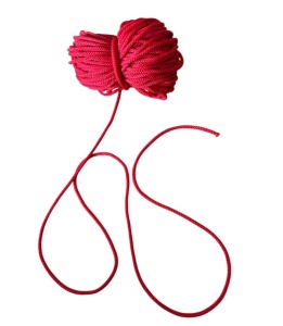 Snur-Iustin-Rosu