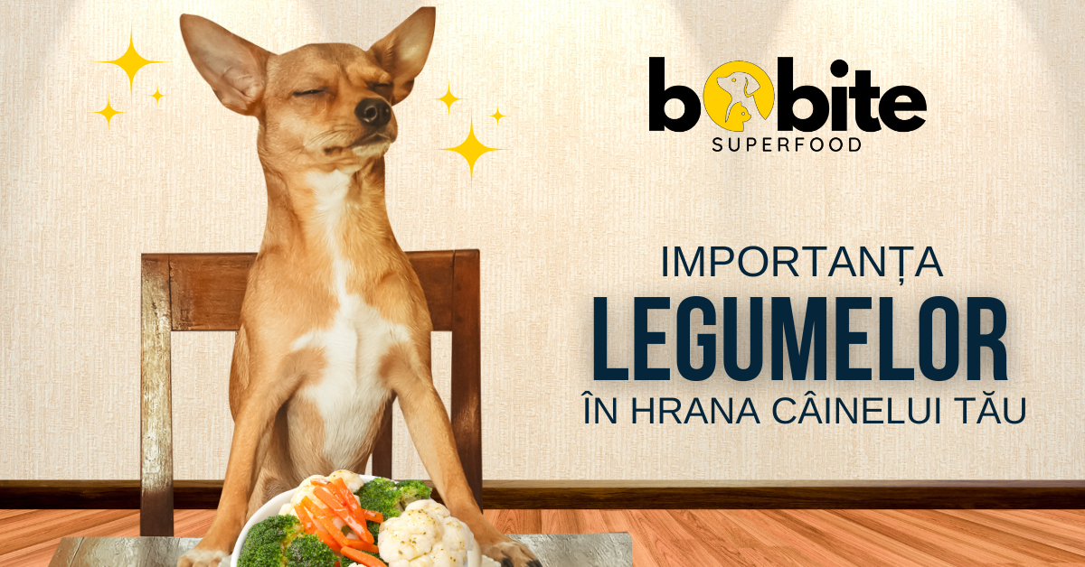 Rolul legumelor în dieta câinilor