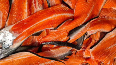 Proteinele sunt esențiale pentru o viață sănătoasă – de ce Bobițe SuperFood oferă 65% proteine de origine animală
