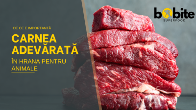 De ce hrana pentru câini cu carne adevărată este cea mai bună alegere pentru blănosul tău