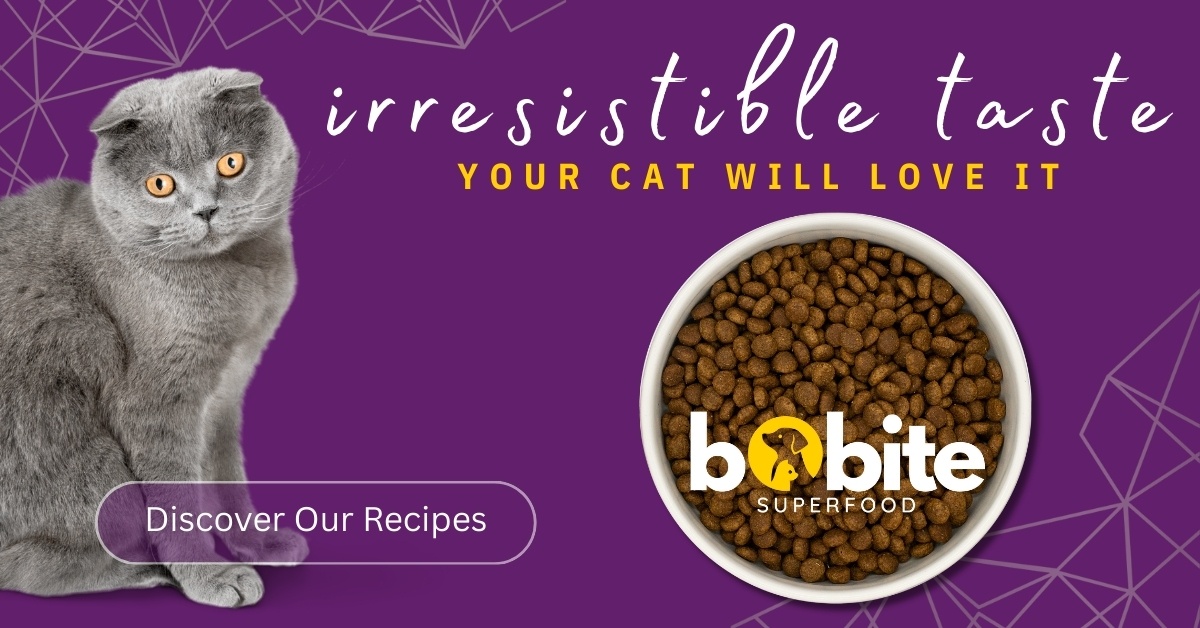 Vezi rețetele Bobite Superfood pentru pisici