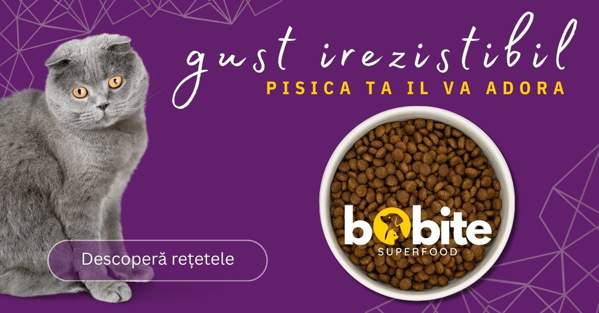 Vezi rețetele Bobite Superfood pentru pisici