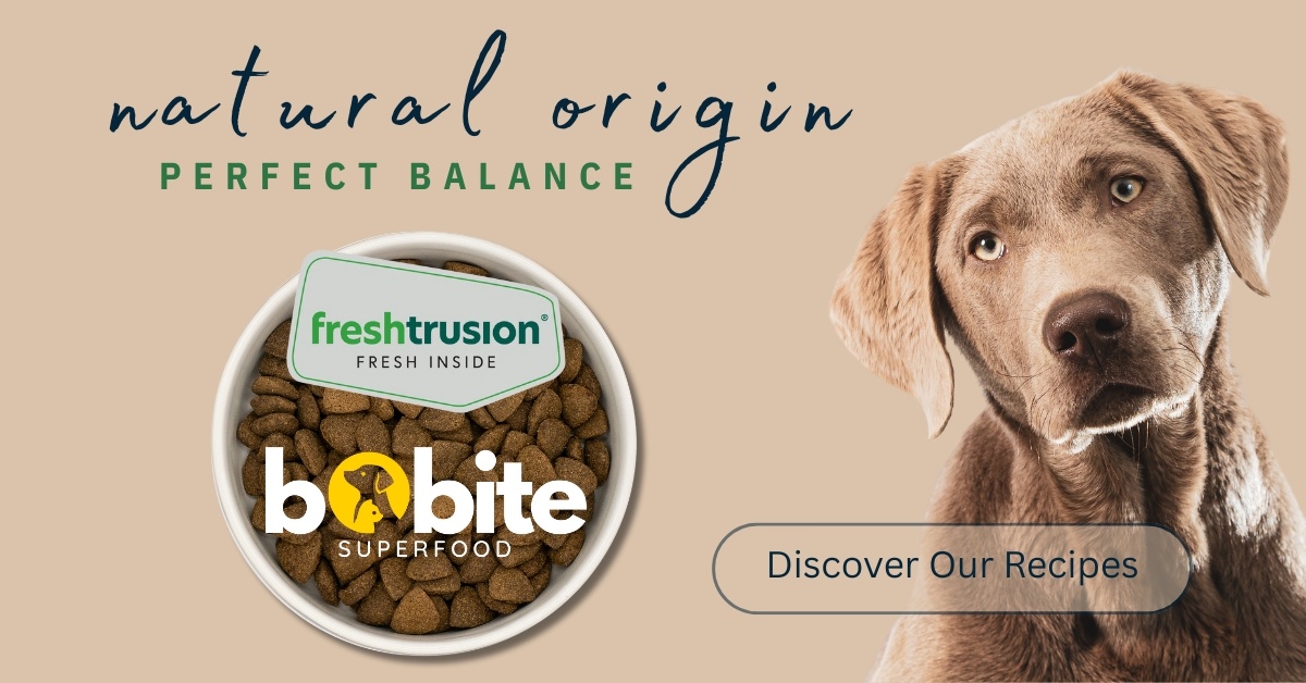 Discover Bobite Superfood Recipes