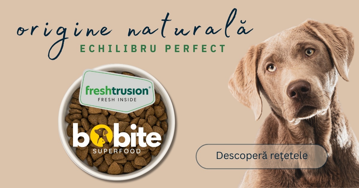 Descoperă rețetele Bobite Superfood