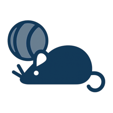 Cat Toys
