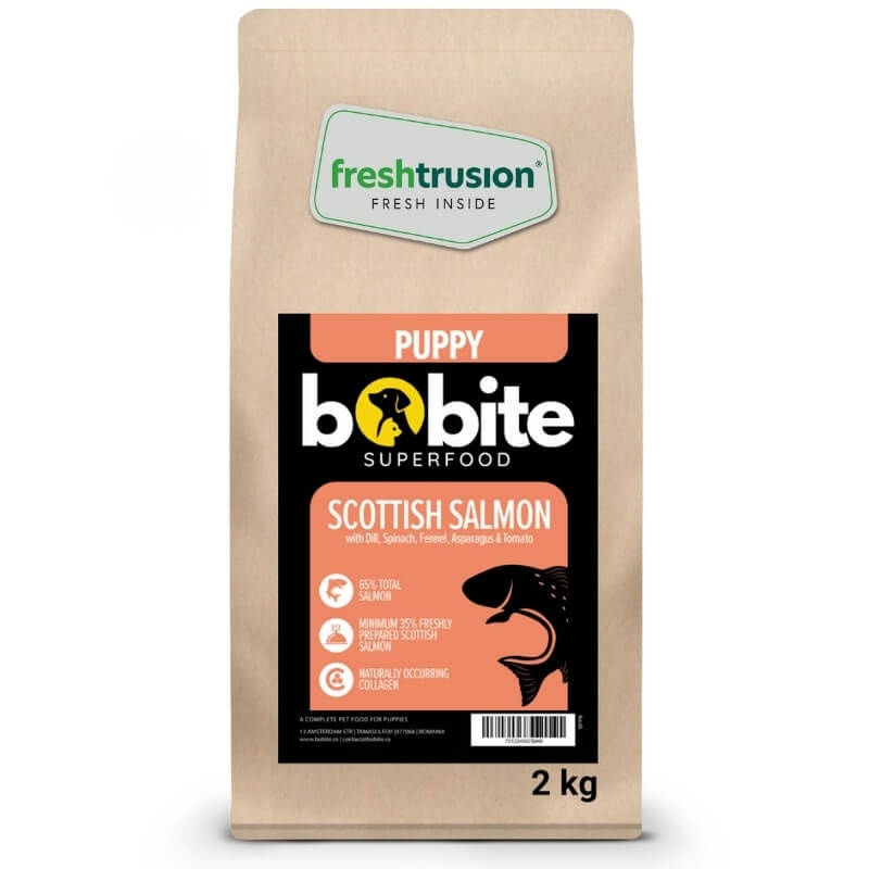 Bobite SuperFood, Puppy, Somon Scotian cu Marar, Spanac, Fenicul, Sparanghel si Rosii, Hrana uscata caini, 2kg