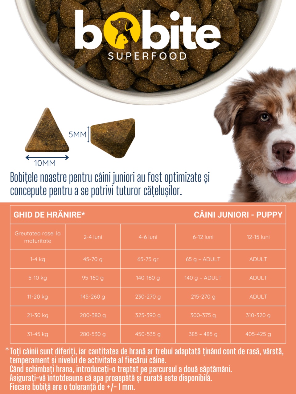 Bobite SuperFood, Puppy, Somon Scotian cu Marar, Spanac, Fenicul, Sparanghel si Rosii, Hrana uscata caini, 6kg - 2 | YEO