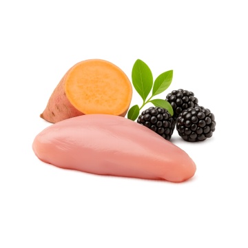 ingrediente hrana caini iepure cartof dulce mure Bobite Grain Free fara cereale