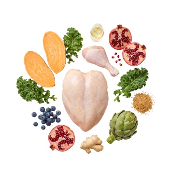 Bobite Superfood Câini Adult – Pui britanic crescut liber, Hrană uscată superpremium fără cereale - Img 3