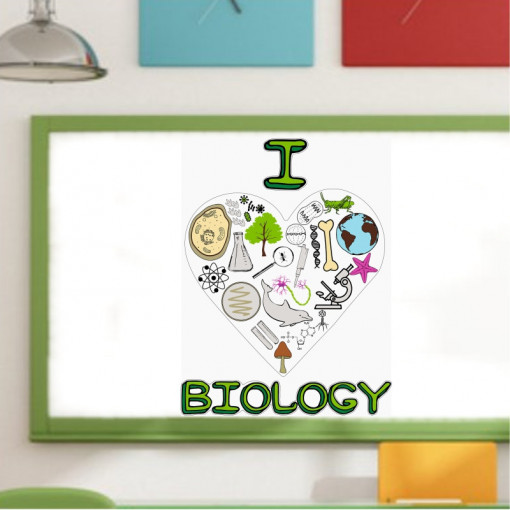 Sticker perete I Love Biology
