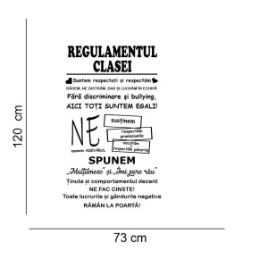 Regulamentul clasei 2c