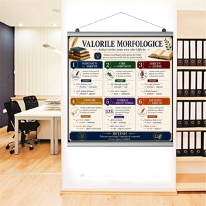Plansa Educativa Valorile Morfologice 1