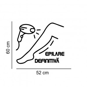 Sticker perete Epilare Definitiva 66